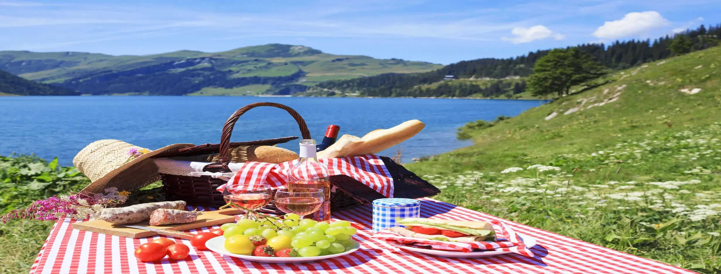 Image for Picnic in Nature